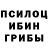 Канабис планчик Kai Leniger