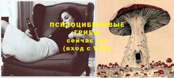 марки lsd Лабытнанги