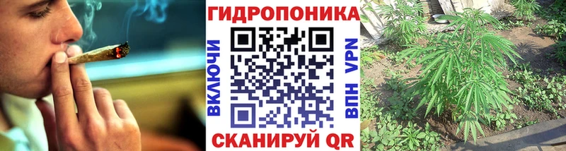 KRAKEN как войти  Теберда  Каннабис White Widow  даркнет сайт 